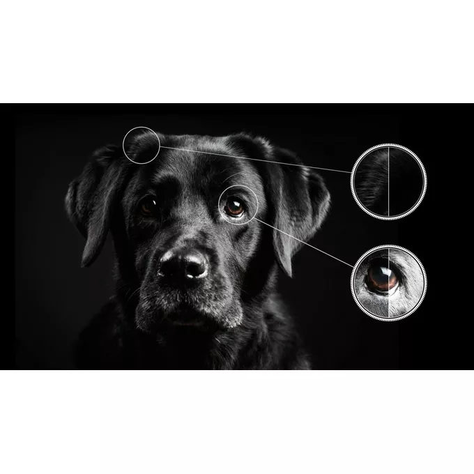 TCL Telewizor QLED 50 cali 50C645
