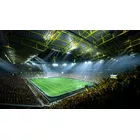 EA Gra PlayStation 4 EA Sports FC 24