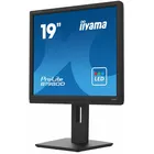IIYAMA Monitor 19 cali B1980D-B5 DVI,VGA,PIVIOT,HAS/150mm,5:4
