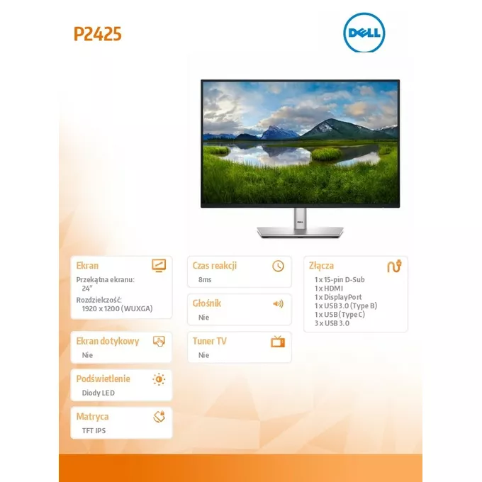 Dell Monitor P2425 24 cale IPS 16:10 WUXGA/HDMI/USBC/DP/VGA/USB/3Y