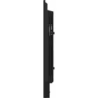 IIYAMA Monitor 50 cali LH5041UHS-B2 VA,4K,24/7,LAN,USB,HDMI