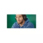 Panasonic Słuchawki RB-HX220BDES srebrne