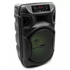 SQUEAK Głośnik Bluetooth 5.3 EDR PulseTower 1000W Funkcja Karaoke SQ1006