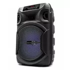 SQUEAK Głośnik Bluetooth 5.3 EDR PulseTower 1000W Funkcja Karaoke SQ1006
