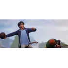 Cenega Gra PlayStation 4 Harry Potter Mistrzowie Quidditcha Edycja Deluxe