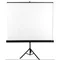 AVTek Ekran na statywie TRIPOD STANDARD 200 (1:1, 200x200cm, powierzchnia biała, matowa)
