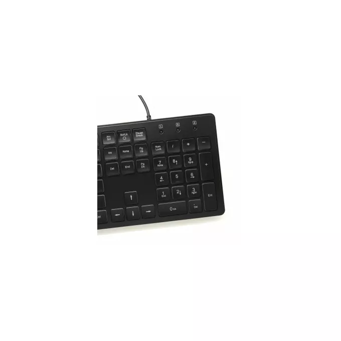 ART Klawiatura SLIM podświetlana AK-20 USB