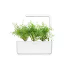 Click And Grow Ogród domowy Click and Grow Smart Garden 3 SGS1UNI Biały
