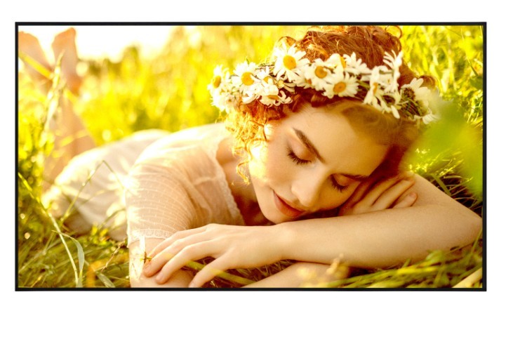 LG Electronics Monitor wielkoformatowy 75UL5Q-E 500cd/m2 UHD 24/7